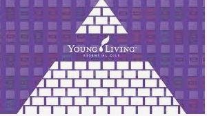 is young living a pyramid scheme